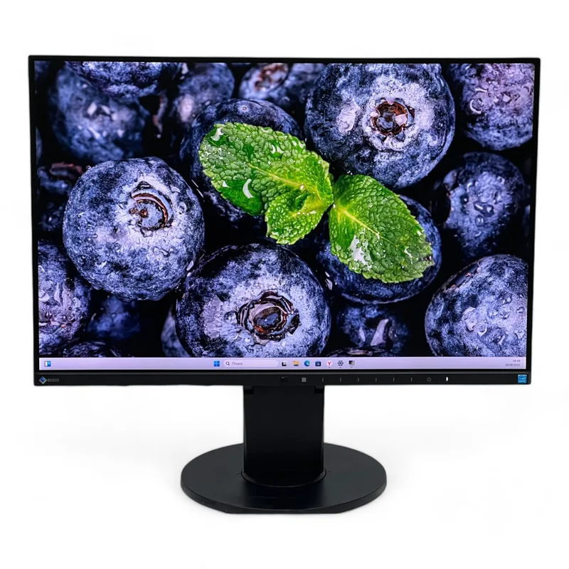 Монитор Eizo FlexScan EV2455 ( 24" 1920x1080 IPS ) — купить в Курске